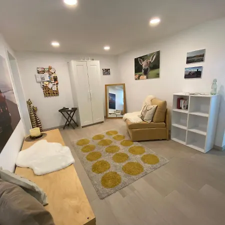 Schwarzwald Boutique-apartment Haus Rehgarten 公寓 加格瑙