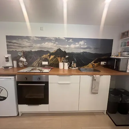 公寓 Schwarzwald Boutique-apartment Haus Rehgarten 加格瑙