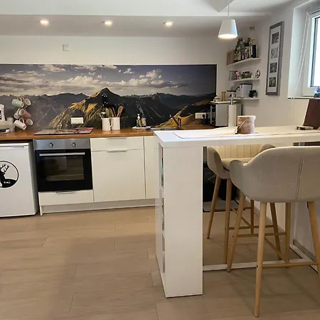 Schwarzwald Boutique-apartment Haus Rehgarten