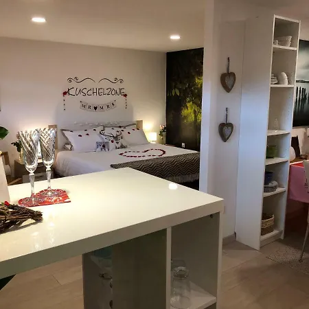 Schwarzwald Boutique-apartment Haus Rehgarten *