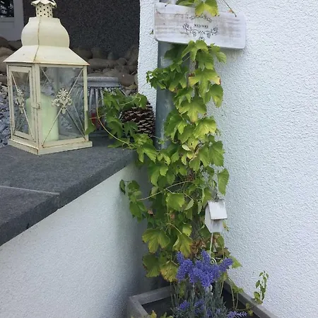 Schwarzwald Boutique-apartment Haus Rehgarten Apartamento