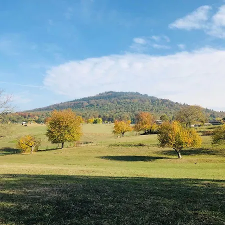 公寓 Schwarzwald Boutique-apartment Haus Rehgarten