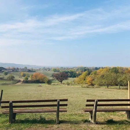 Schwarzwald Boutique-apartment Haus Rehgarten *
