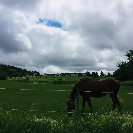 Schwarzwald Boutique-apartment Haus Rehgarten 加格瑙