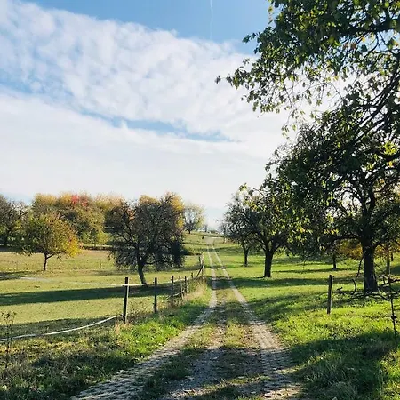 Schwarzwald Boutique-apartment Haus Rehgarten 公寓 加格瑙