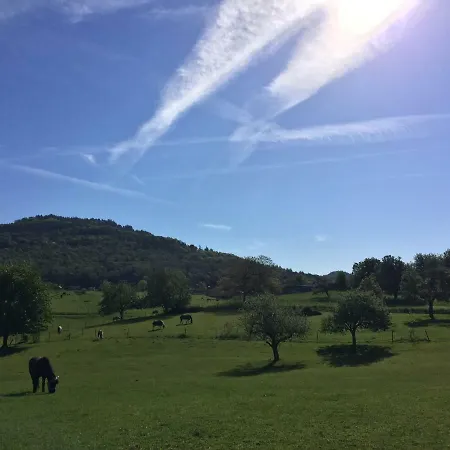 公寓 Schwarzwald Boutique-apartment Haus Rehgarten 加格瑙