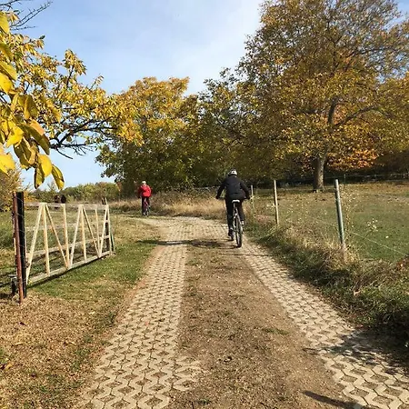 Schwarzwald Boutique-apartment Haus Rehgarten *