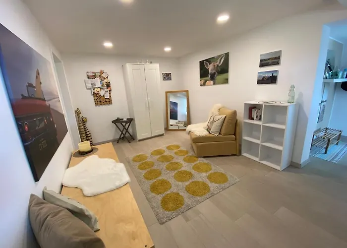 Schwarzwald Boutique-apartment Haus Rehgarten アパート ガッゲナウ