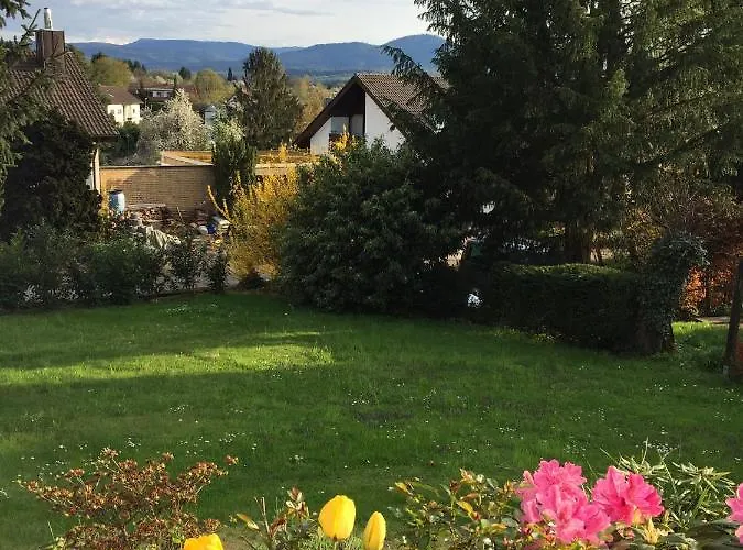 Schwarzwald Boutique-apartment Haus Rehgarten アパート ガッゲナウ