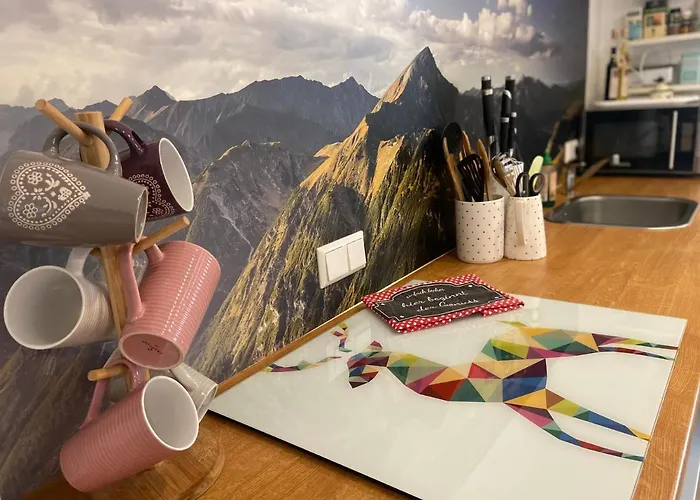 アパート Schwarzwald Boutique-apartment Haus Rehgarten *