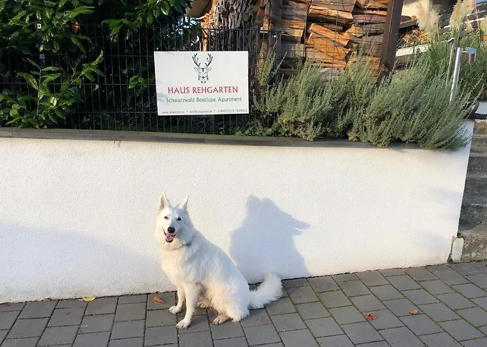 Schwarzwald Boutique-apartment Haus Rehgarten *