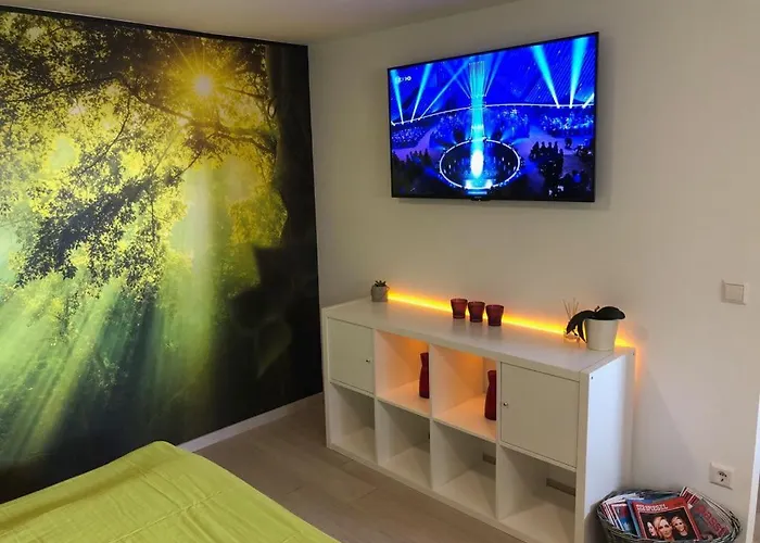 アパート Schwarzwald Boutique-apartment Haus Rehgarten *