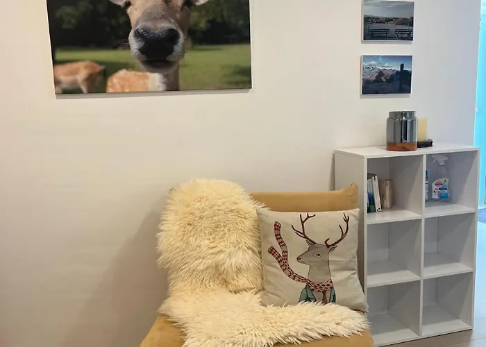 アパート Schwarzwald Boutique-apartment Haus Rehgarten ガッゲナウ