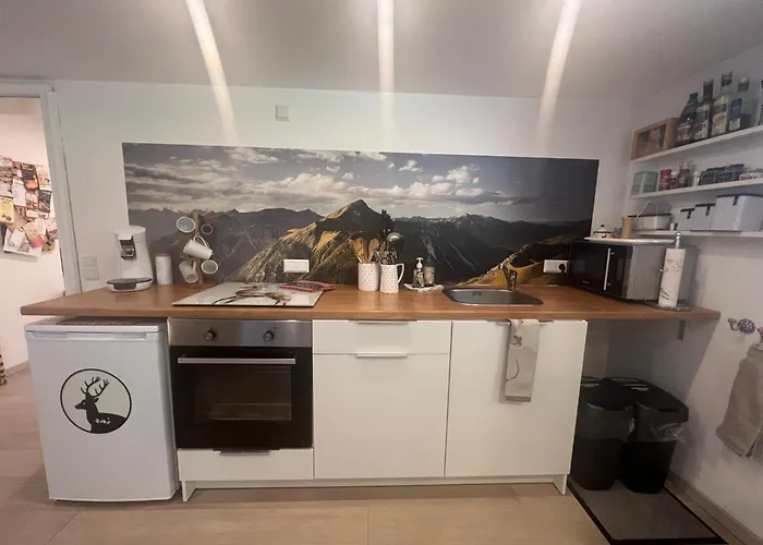 アパート Schwarzwald Boutique-apartment Haus Rehgarten ガッゲナウ