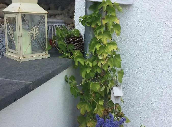 Schwarzwald Boutique-apartment Haus Rehgarten アパート