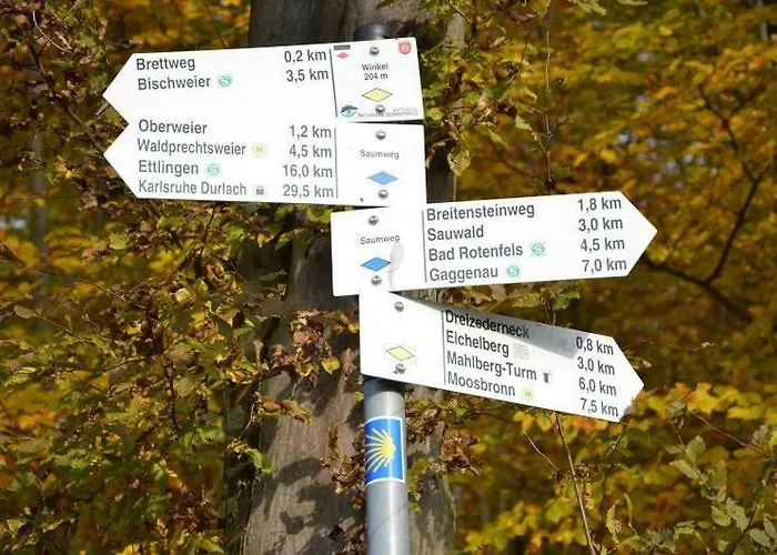 アパート Schwarzwald Boutique-apartment Haus Rehgarten *