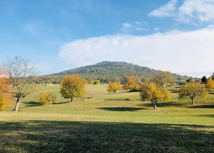 アパート Schwarzwald Boutique-apartment Haus Rehgarten