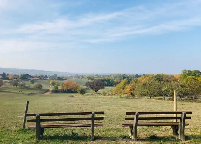 Schwarzwald Boutique-apartment Haus Rehgarten *
