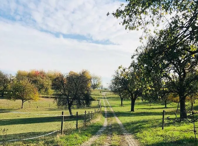 Schwarzwald Boutique-apartment Haus Rehgarten アパート ガッゲナウ