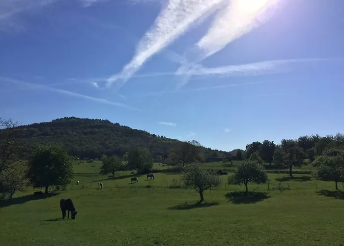 アパート Schwarzwald Boutique-apartment Haus Rehgarten ガッゲナウ