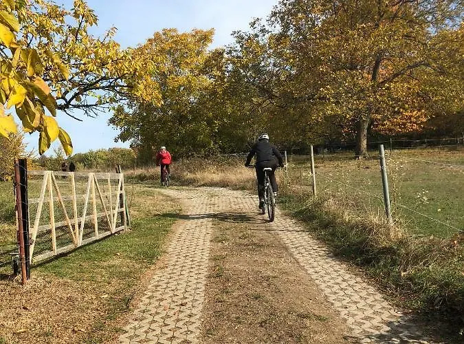 Schwarzwald Boutique-apartment Haus Rehgarten *